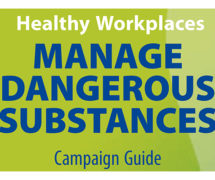 Guía sobre “Gestión de sustancias peligrosas en lugares de trabajo saludables”